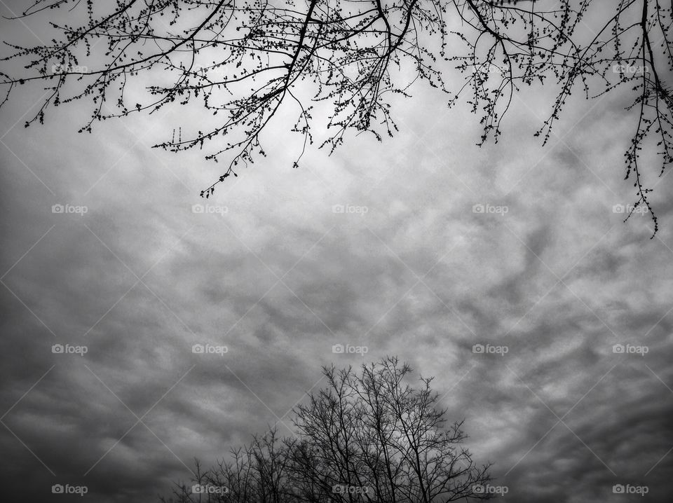 Winter’s Frame Job.

Been some weird weather here in Muskegon. From snowing in mid-April to 80° days, to nearly freezing rain. I’m looking forward to Michigan getting its act together!

Spring cloudcover framed by tree branch silhouettes.