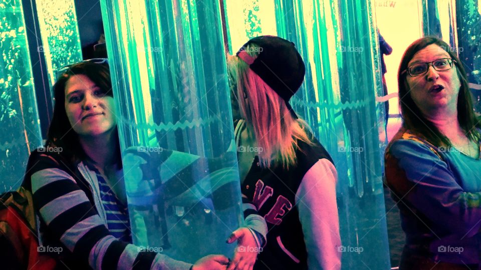 Baltimore Inner Harbor Aquarium