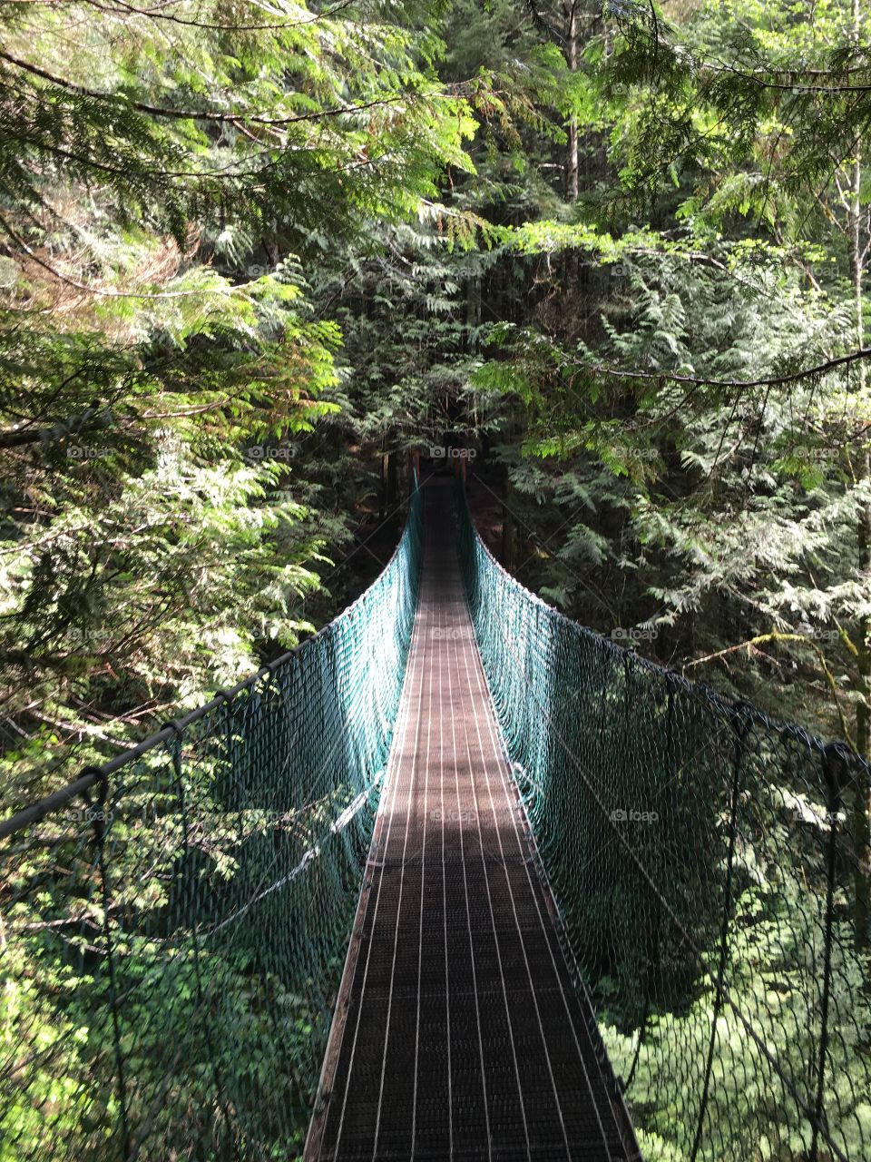 Suspension bridge on Juan de Fuca trail,  Vancouver  island