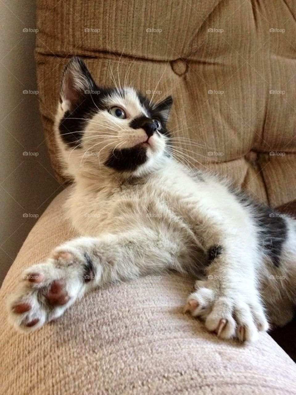 Just lounging around