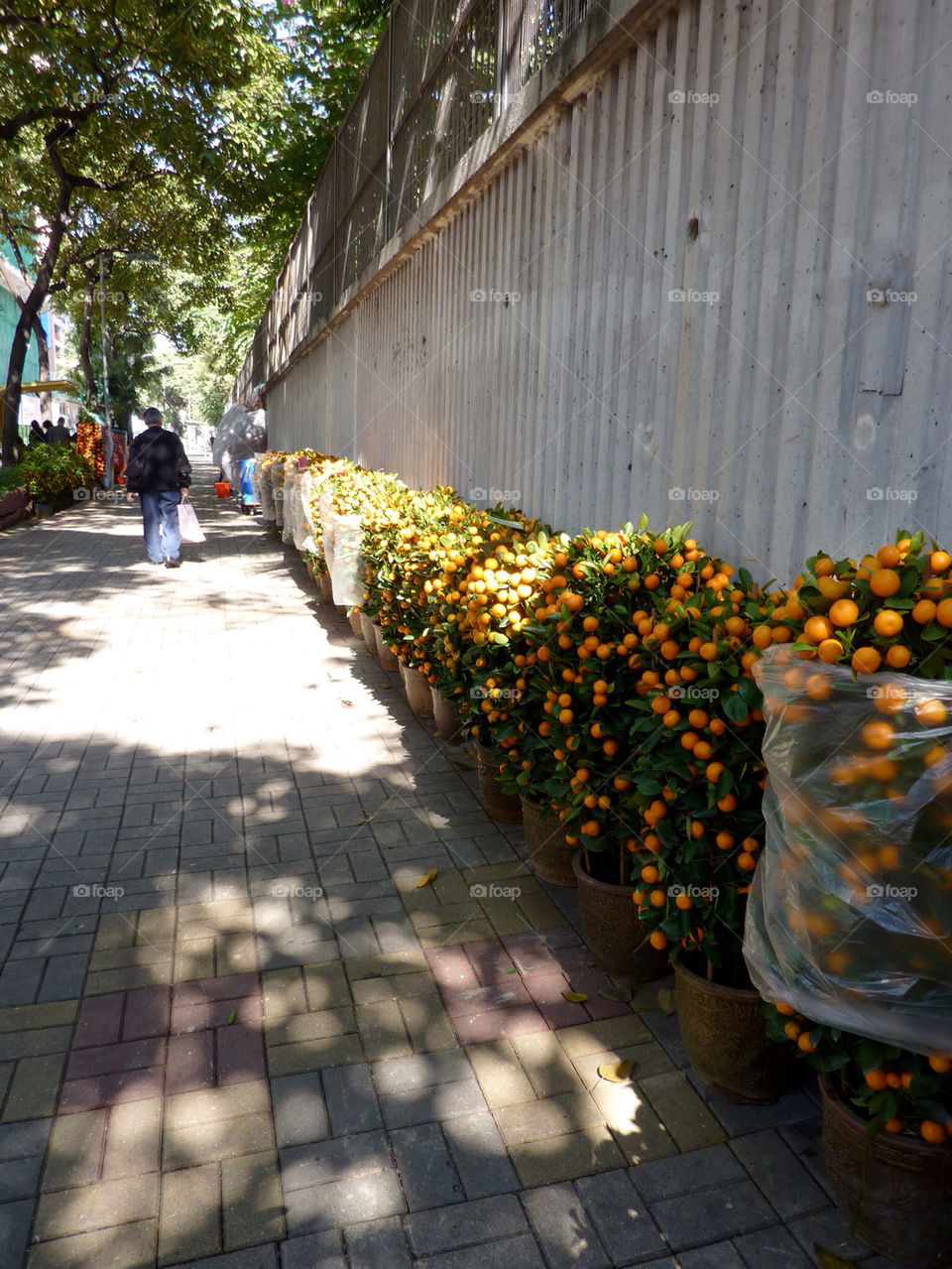 street people plants trees by fabkat
