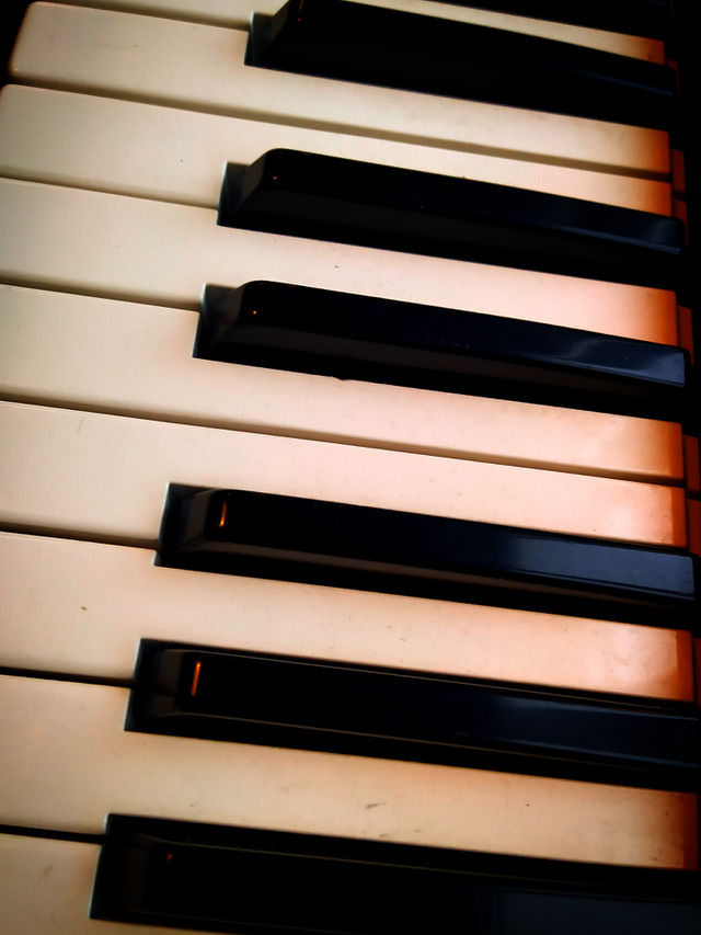 Black and white piano keys