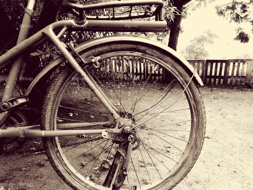 gray colour effect 