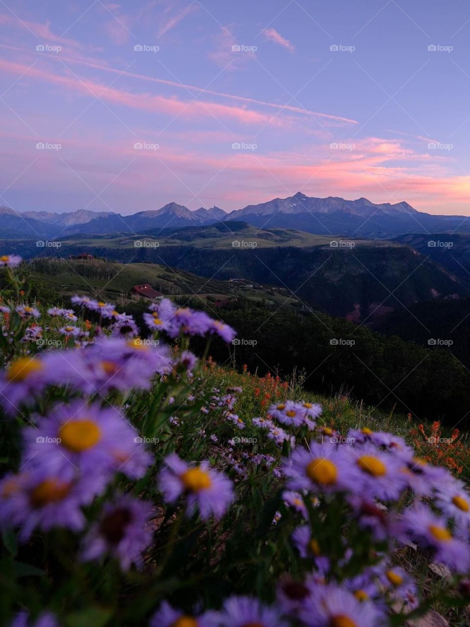 What surrounds us is the best 💜