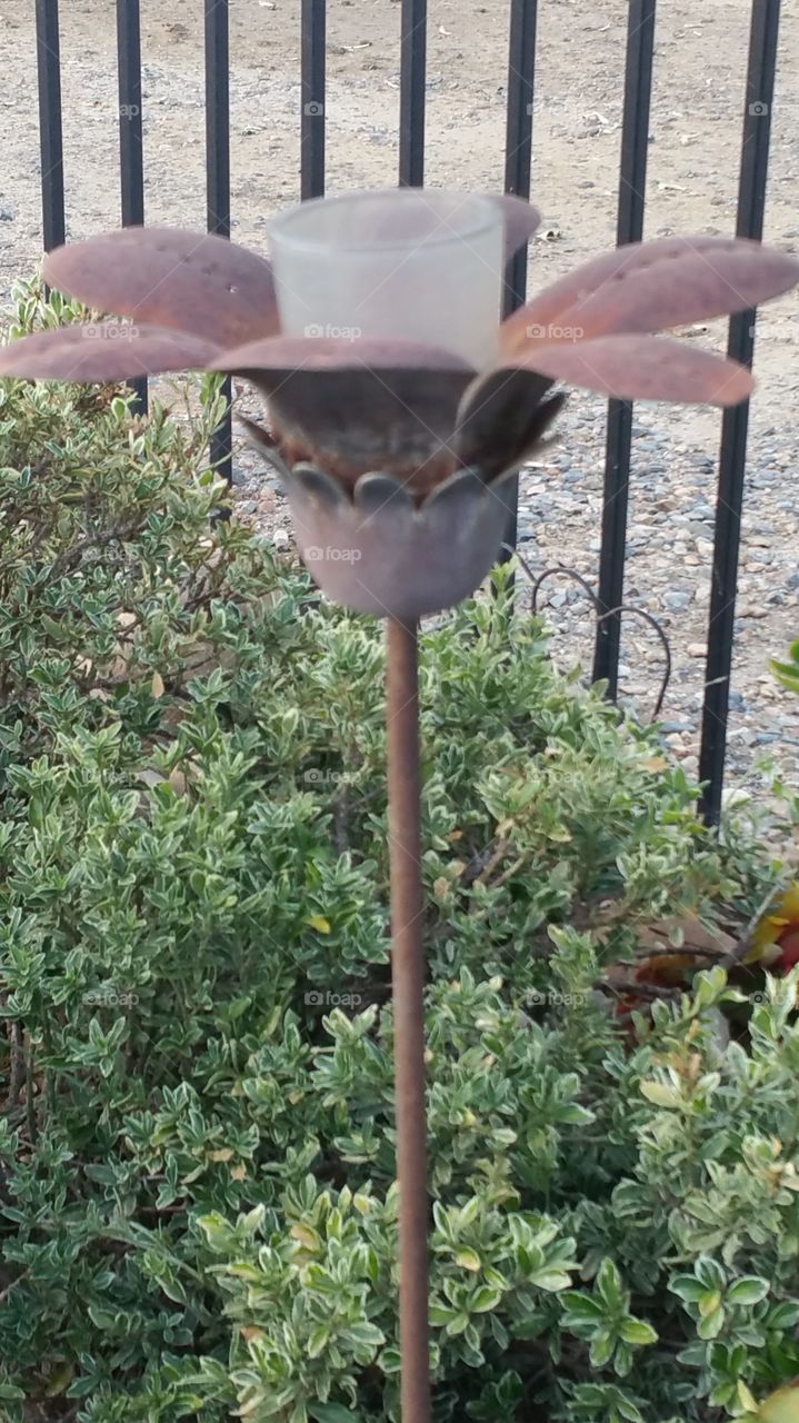 Candle holder . a flower candle holder in the yard