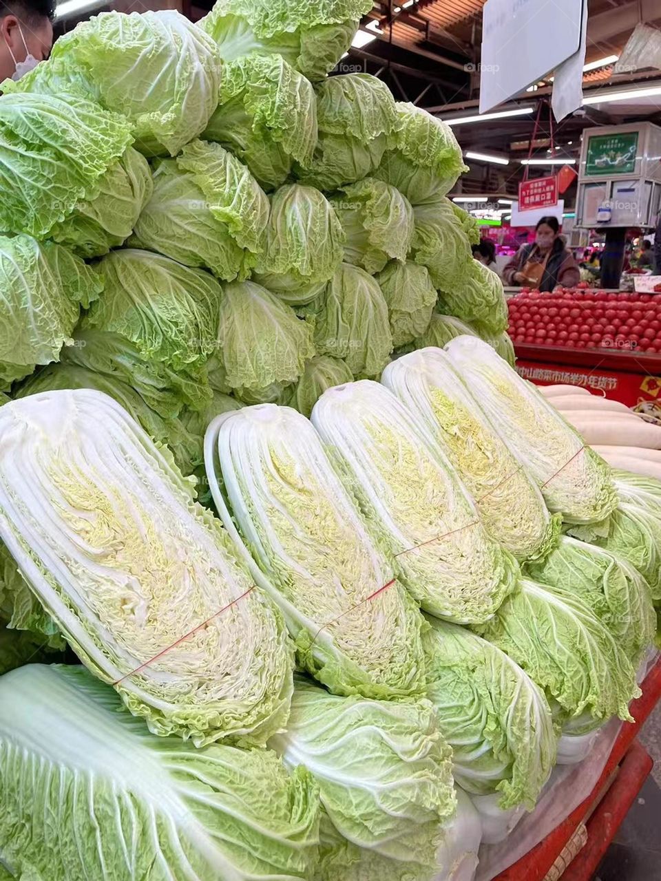 Chinese cabbage
