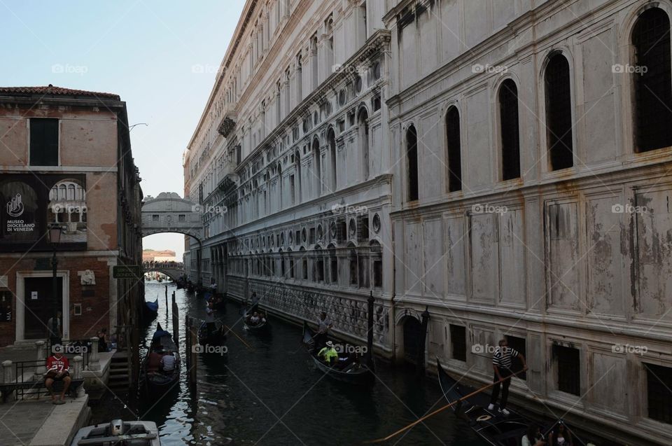 Venezia 