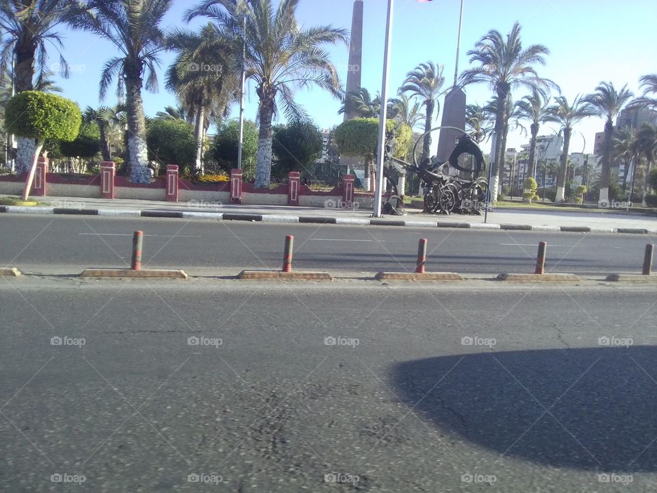 View of empty road and palm trees in city