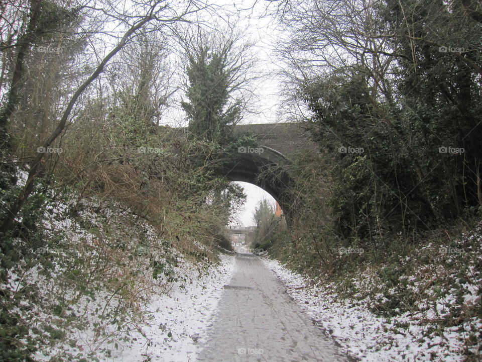 Bridge In Winter