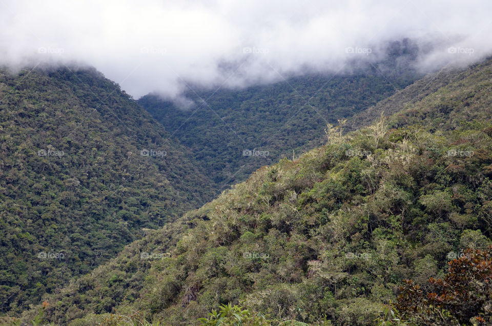 Clouds in rain forest Peru