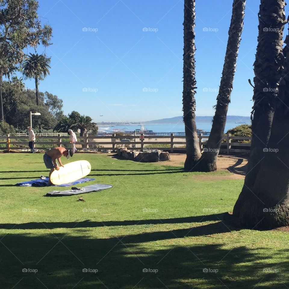 Surfer in Santa Monica . Taken in a park on a hill overlooking the beach in Santa Monica, CA. 