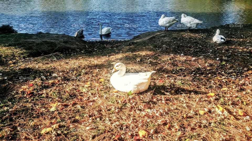 new kid on the block