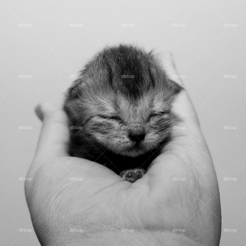 is this cute or what