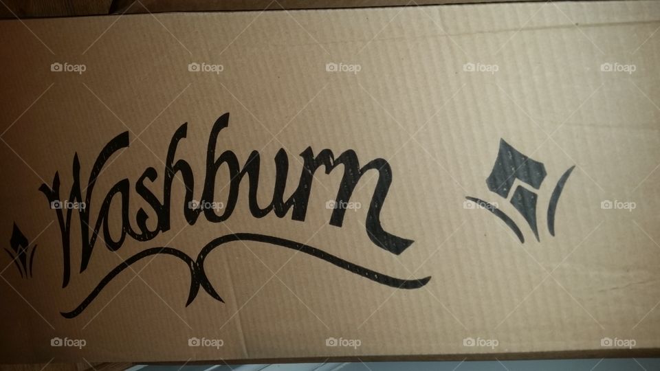 washburn guitar logo