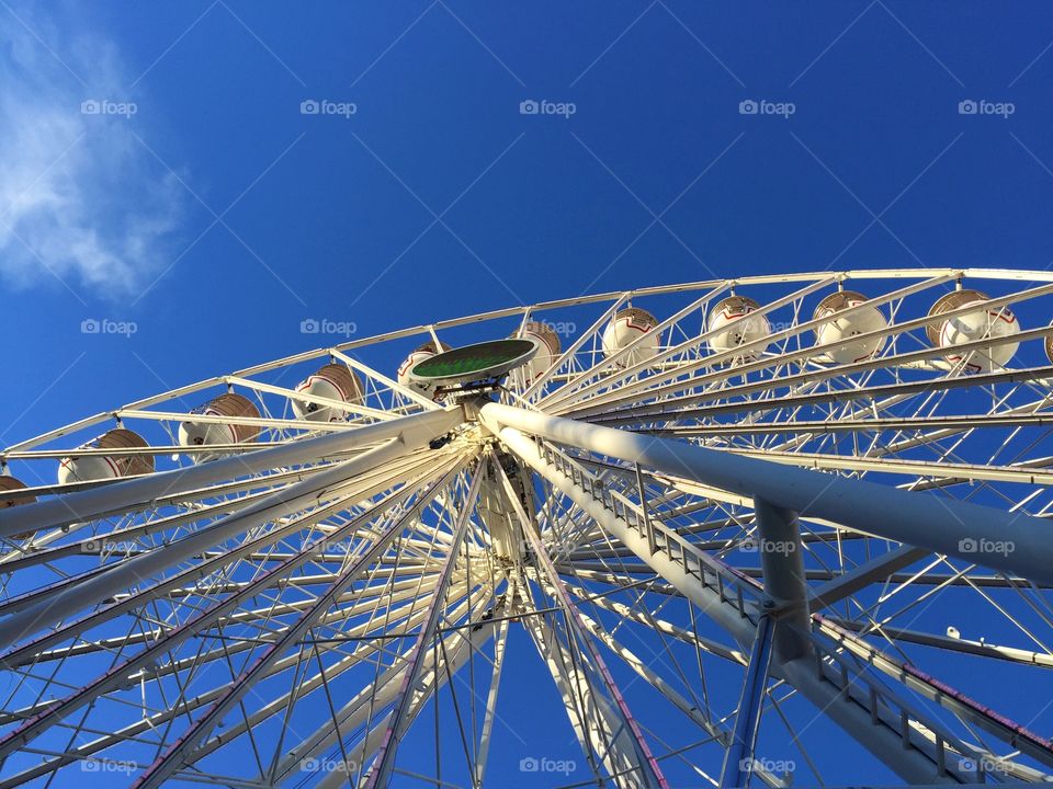 The ferris wheel 