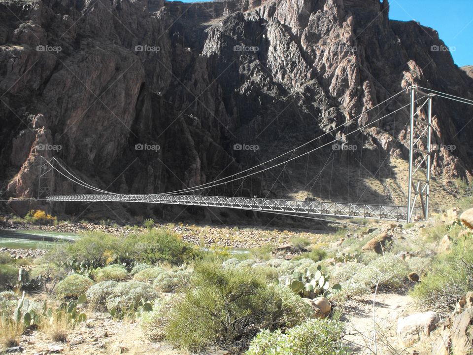 Foot bridge at base of Grand Canyon 