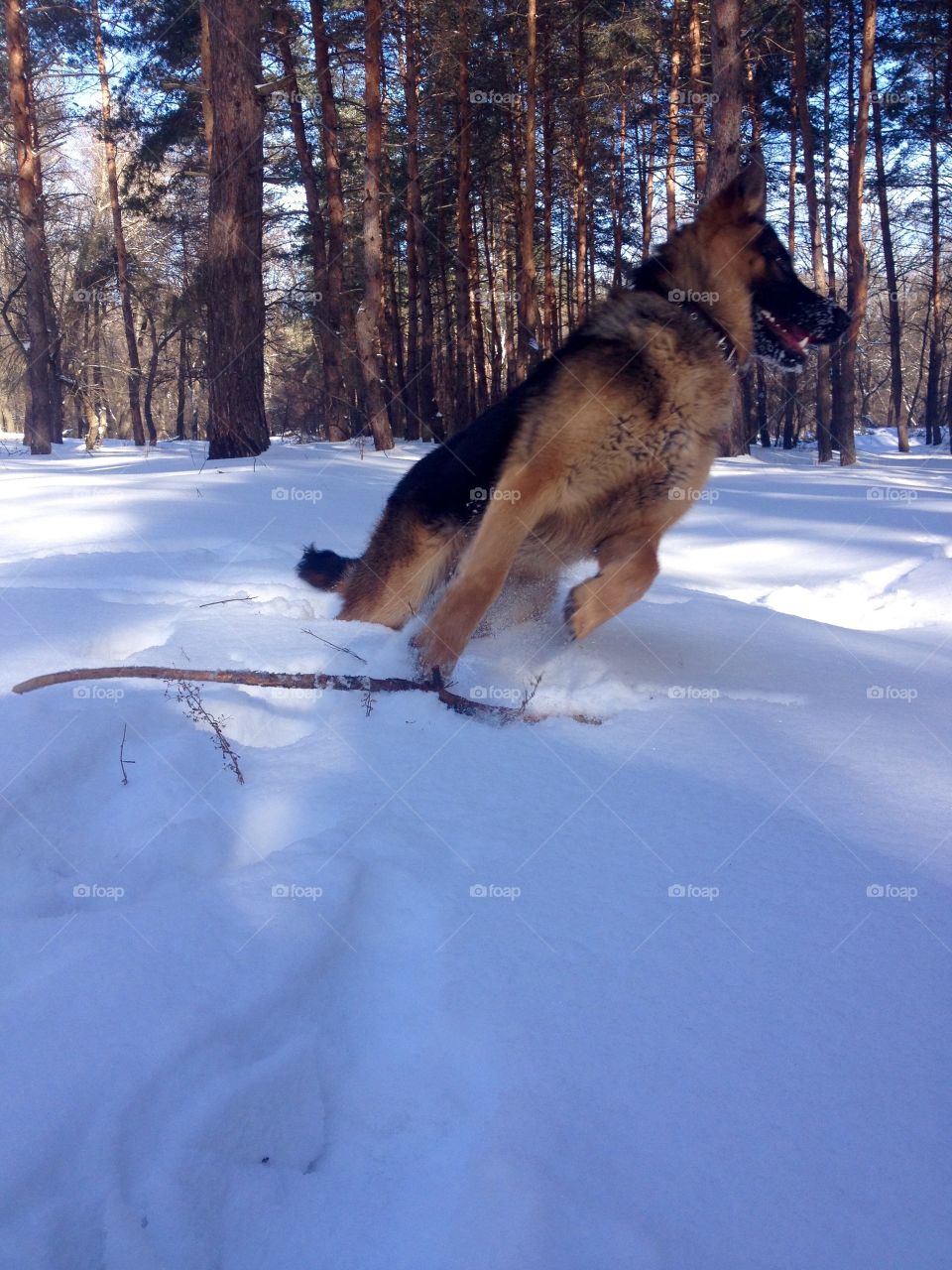 Jump from the point you sit