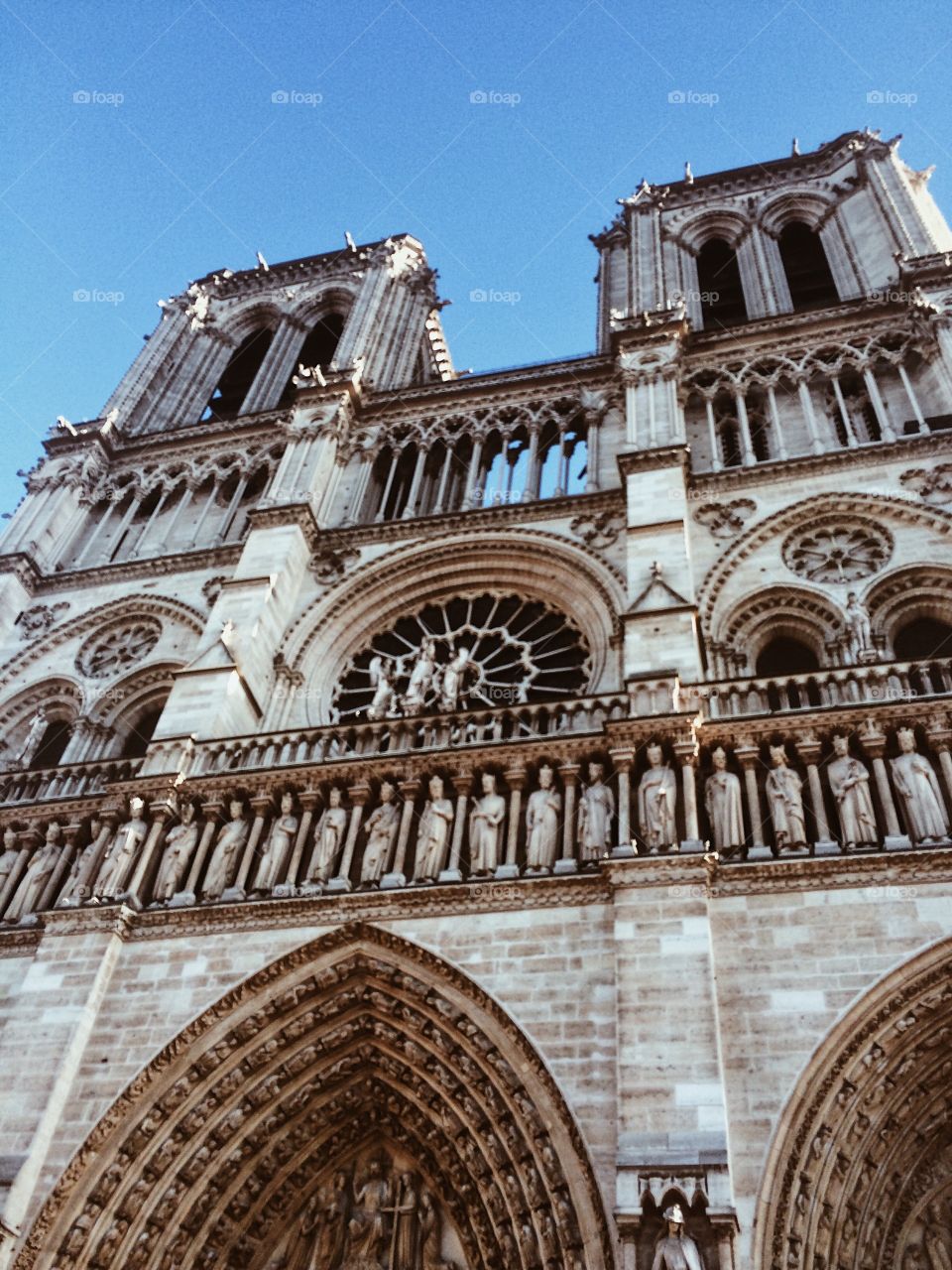 La catedral de Notre Dame, con sus mínimos detalles 