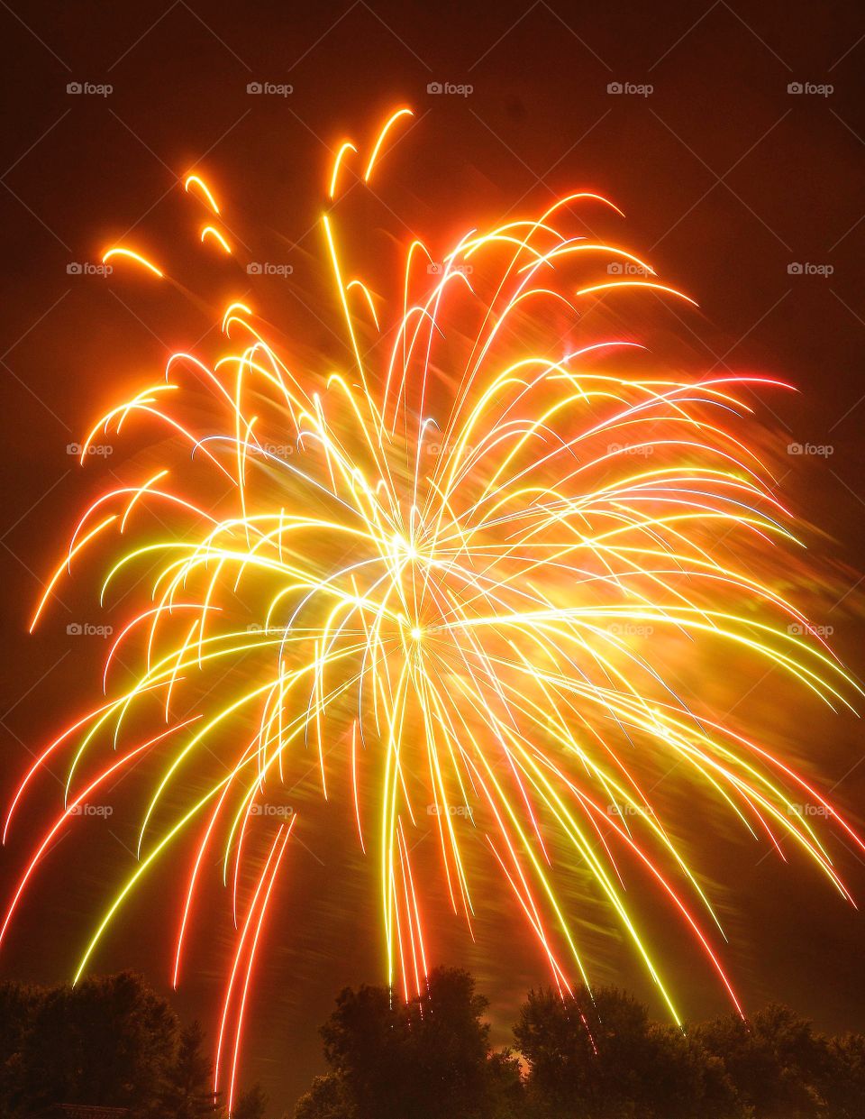 Celebrating the New Year with a bang.  