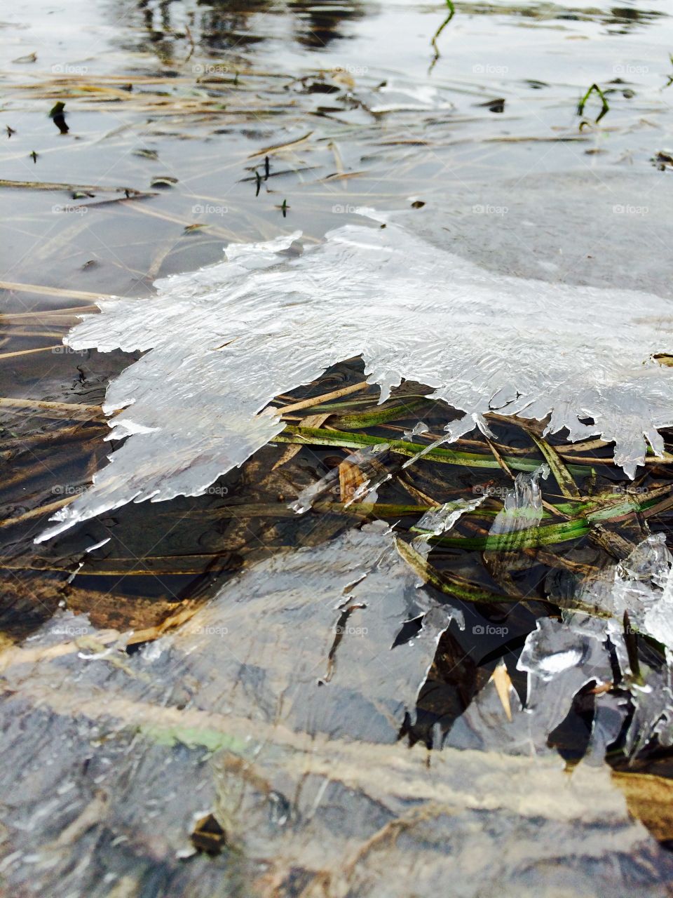 Close-up of ice