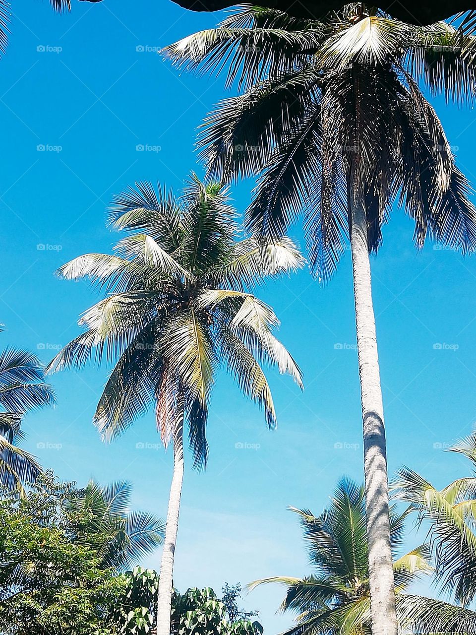 Edition of the photos click