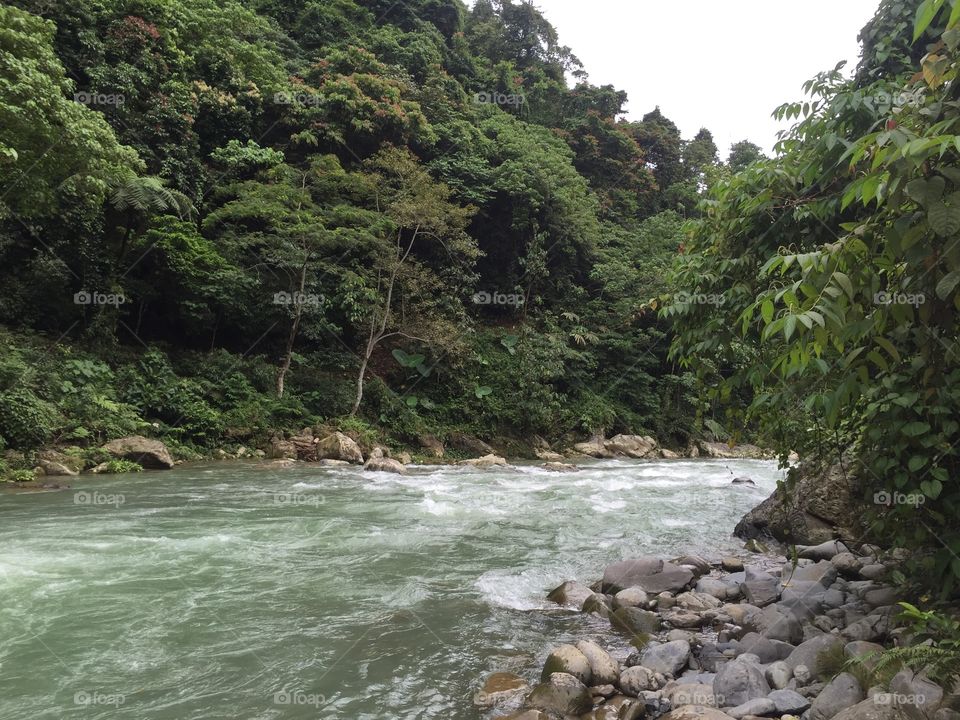 Bukit lawang 