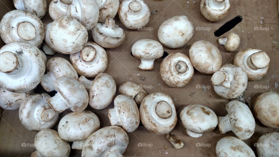 Market mushrooms.