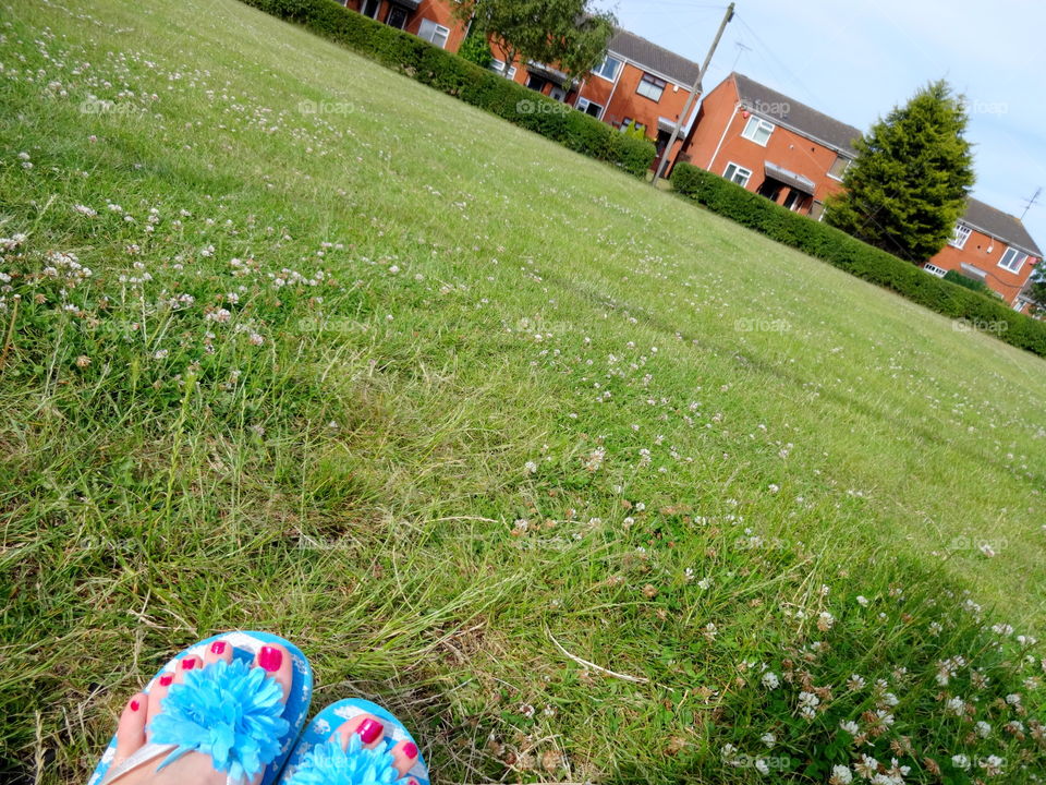 among greenery