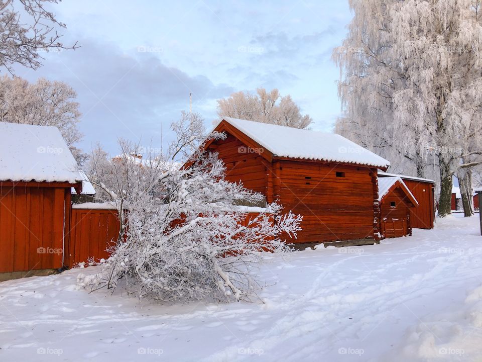 View of houses during winter