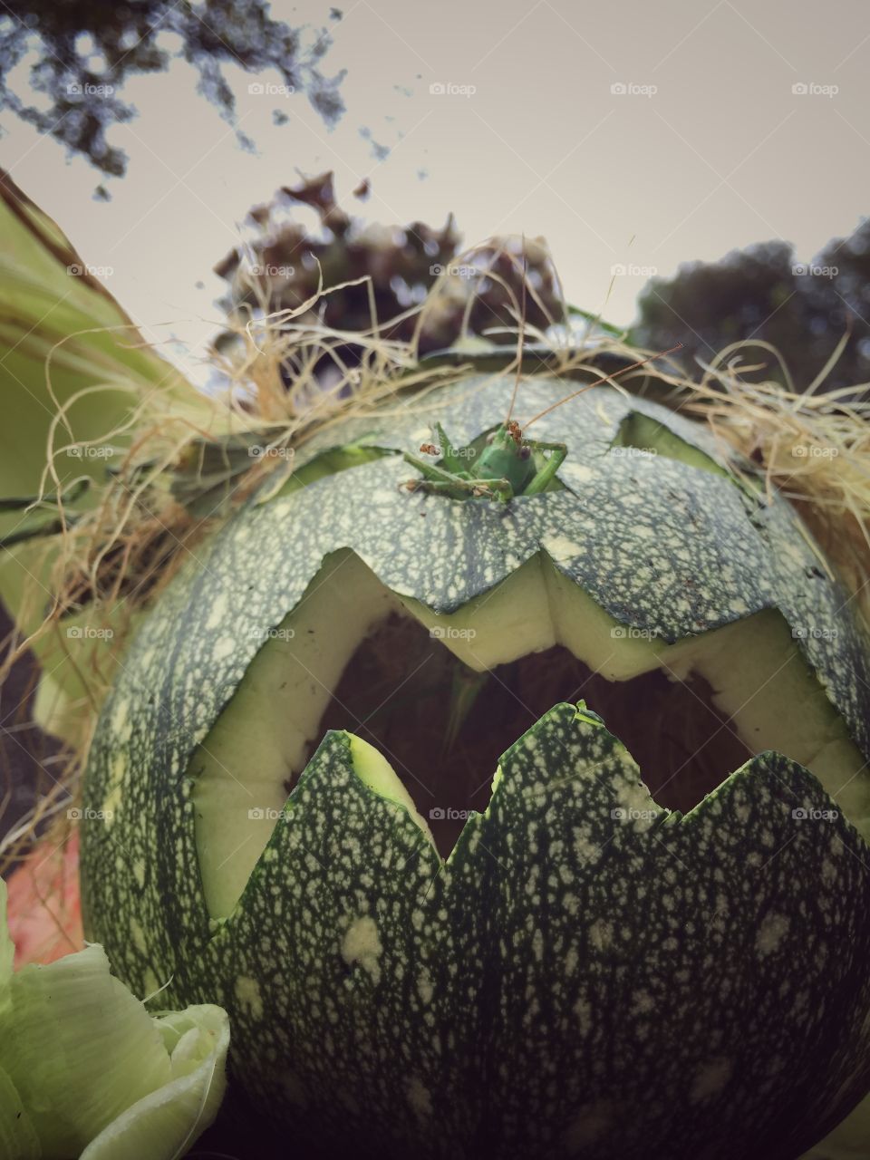 Halloween pumpkin scary face