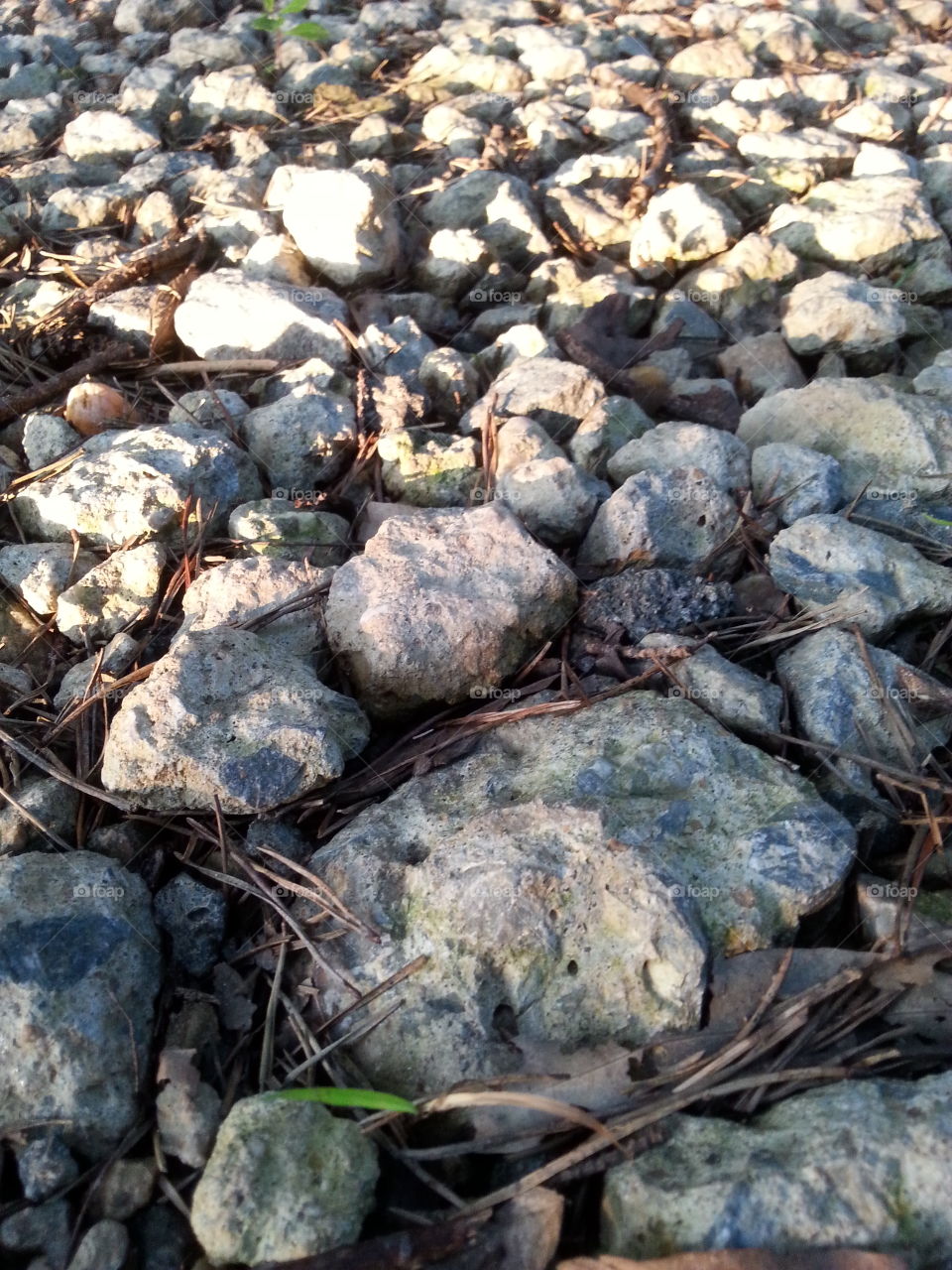 rock view. a beautiful rock scene with a detailed view