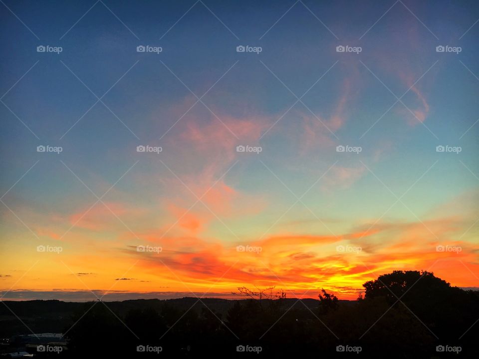 Silhouette of tress during sunset