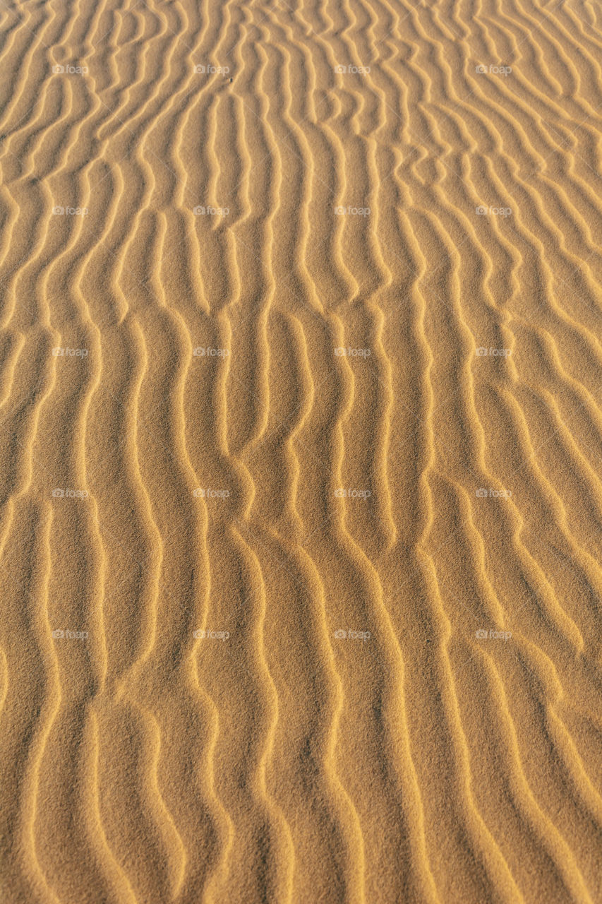 sand waves in desert