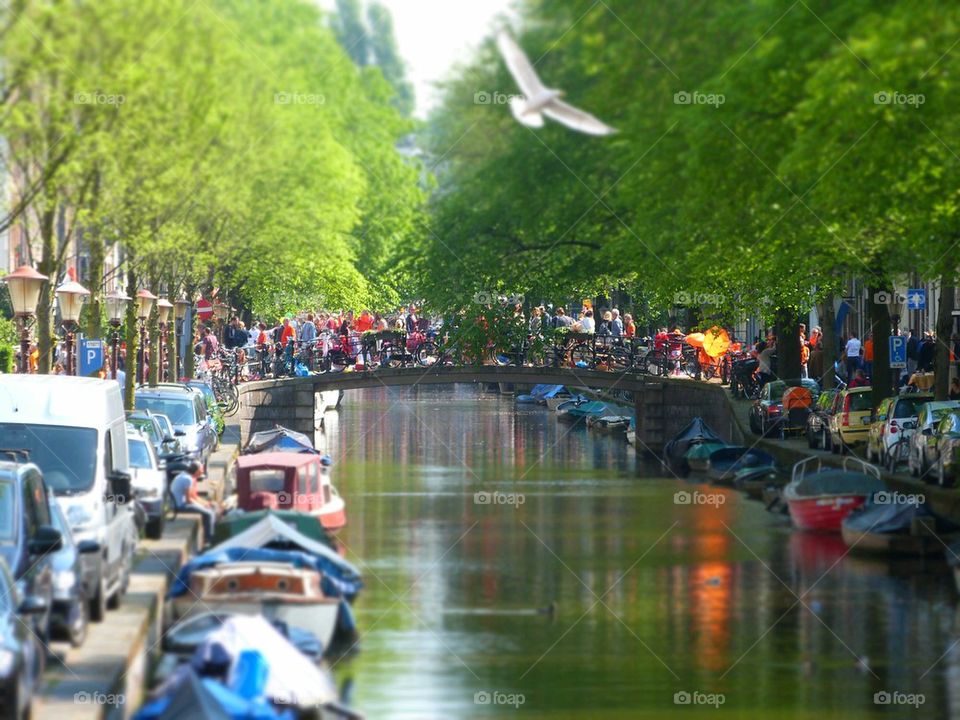 kingsday canal scenery Amsterdam