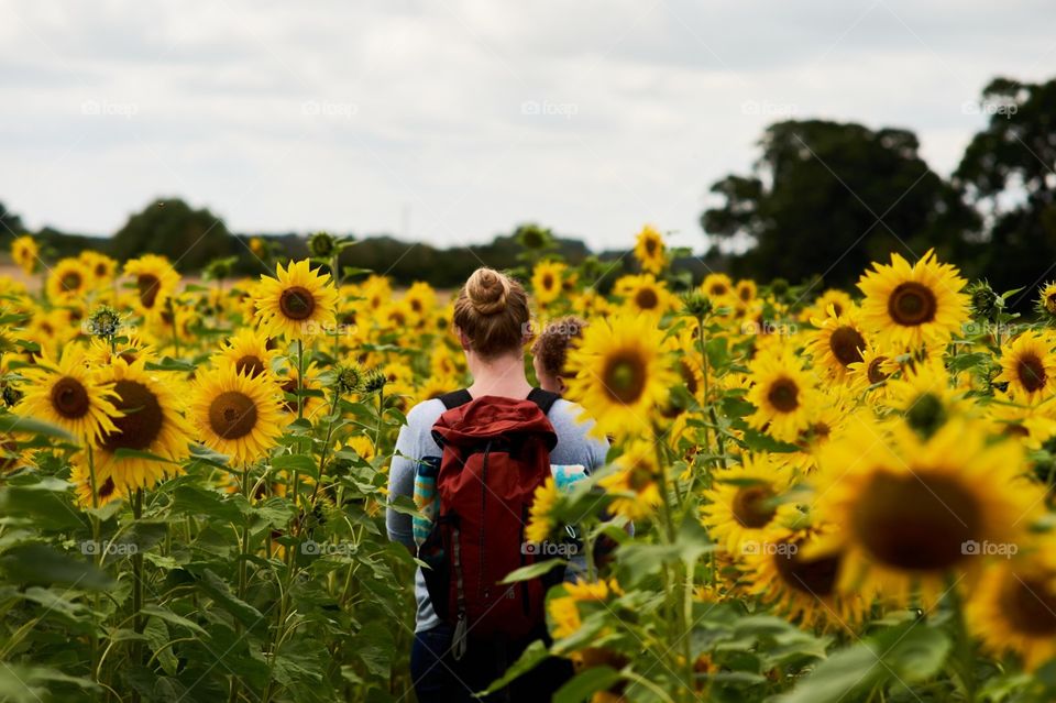 sunflower field mother and son