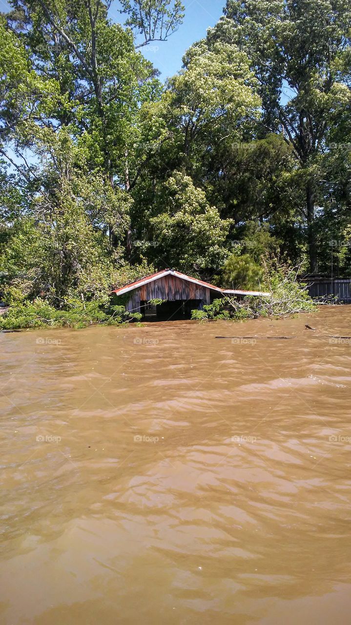 Flooding on the River Bayou Lousiana