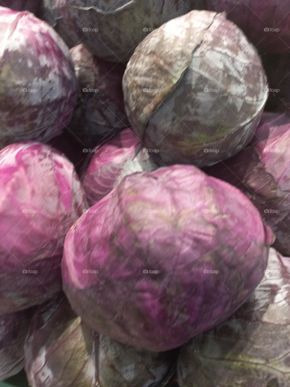 Repolho roxo é um vegetal , que possui propriedades antioxidantes, fortalece os ossos, graças ao teor alto de vitamina K, potássio,  cálcio e fibras solúveis, que melhora a digestão,  reduzindo os níveis de colesterol  ruim