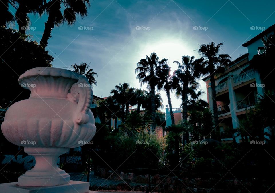 Moonlit palms and a stone vase