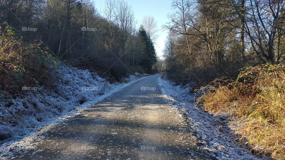 frost path