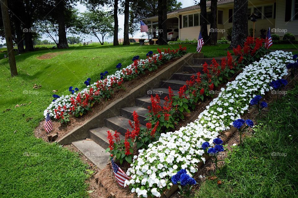 Patriotic red white and blue flowers surround front yard stairs with American flags on Fourth of July for Independence Day