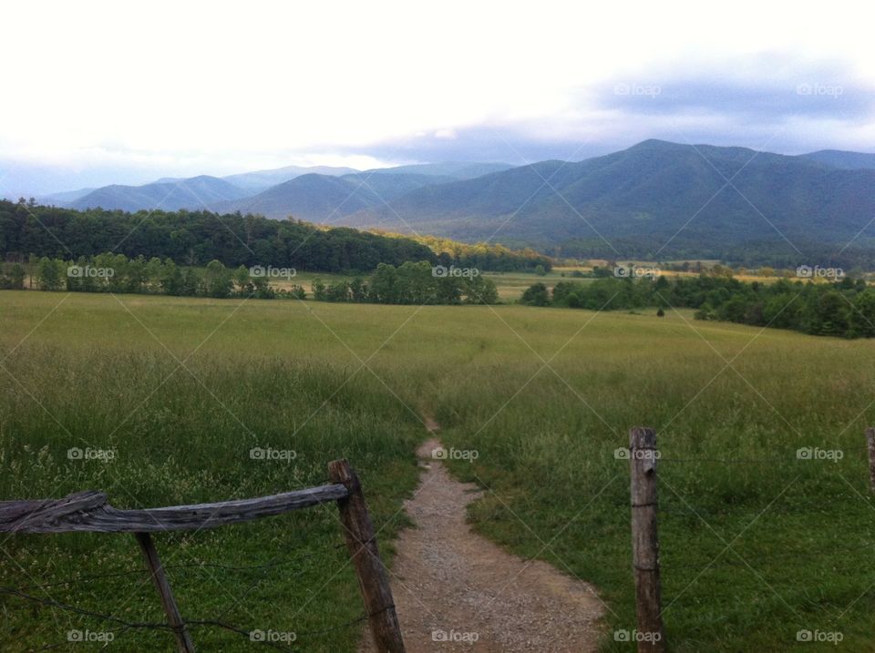 Cases Cove. Taken at beautiful Cades Cove in Tennessee.