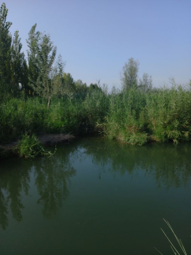 by the lake