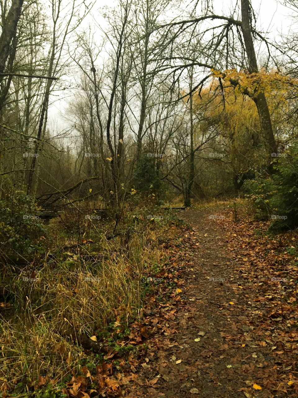 Autumn hiking trail 🍁