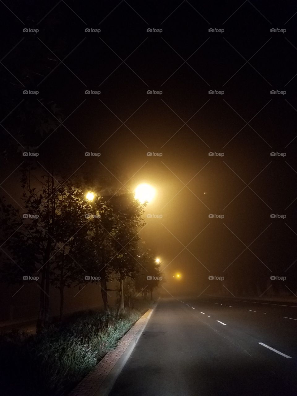 A Foggy Drive