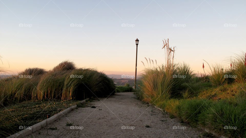 PASEO SOLITARIO / \ Leonardo Kubrick