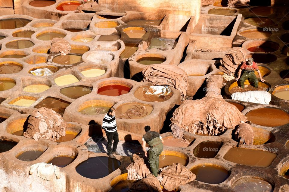 Tannery at Fez, Morroco