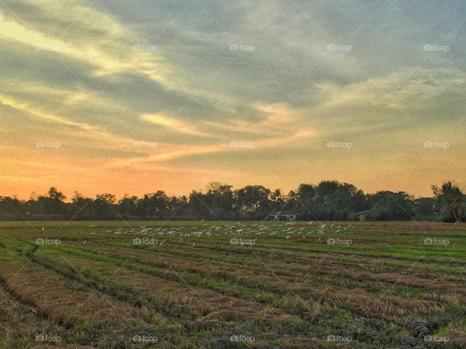 Fly as a team, capture as a theme