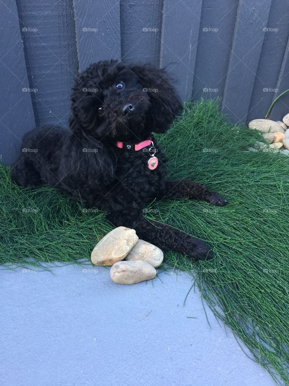 Way to comfortable! 😍