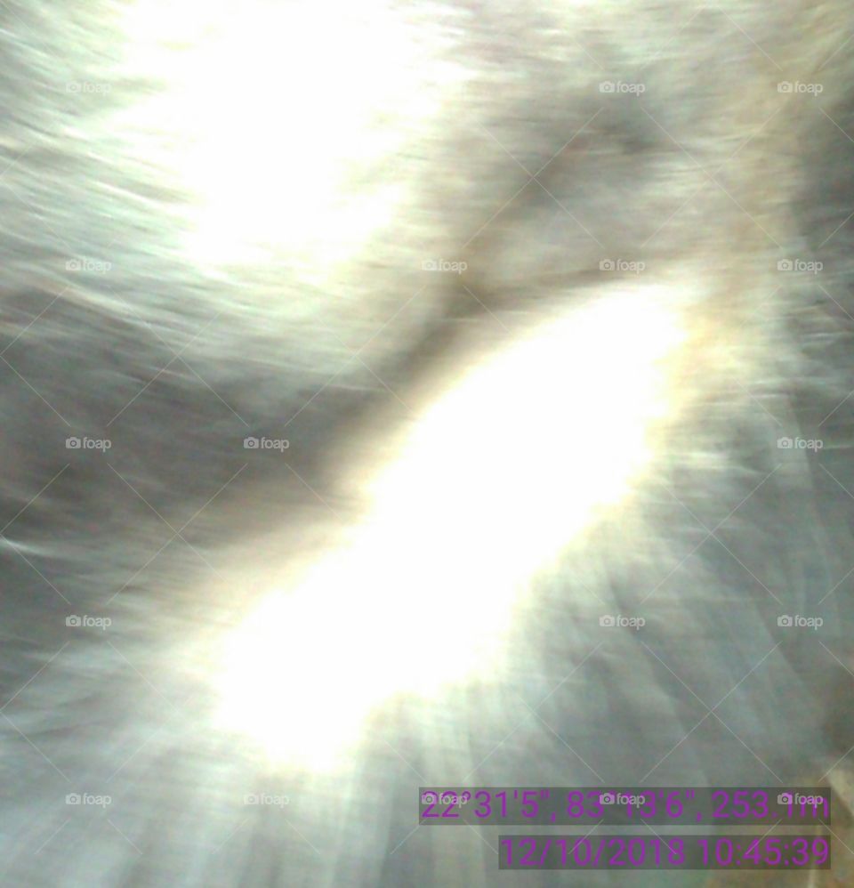 Happy Pat with solid gold.