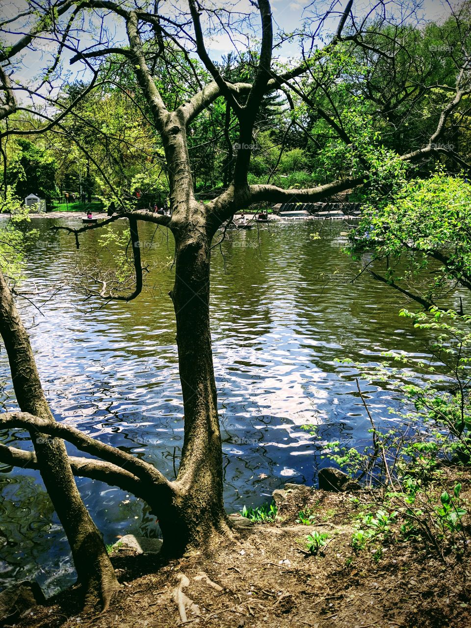 park waterfront, enjoying nature, vibrant, colorful, beautiful day